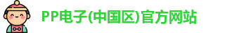 pp电子